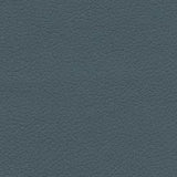 Arctic fabric swatch