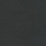 Black Onyx fabric swatch