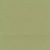 Celery fabric swatch