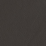 Coffee Bean fabric swatch
