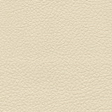Cream fabric swatch