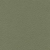 Dill fabric swatch