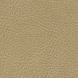 Distressed Buckskin fabric swatch