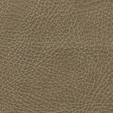 Distressed Saddle fabric swatch