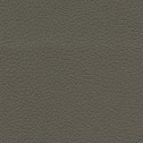 Shiitake fabric swatch