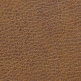 Sparrow fabric swatch