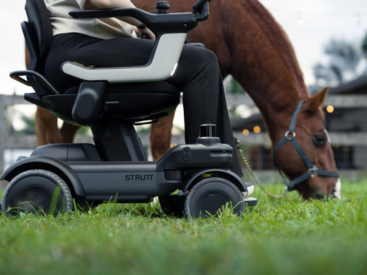 Strutt ev¹ — Co-Pilot Smart Power Chair